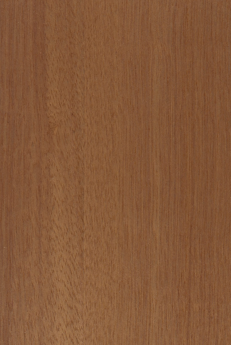 8615AS